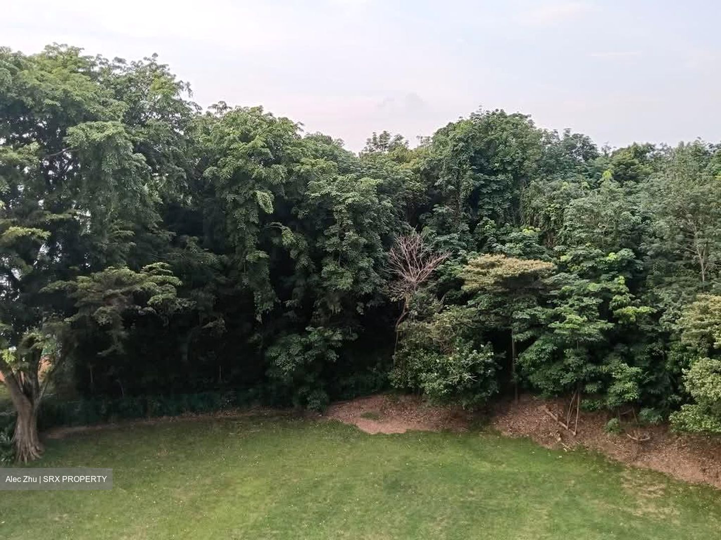 Lakeview Estate (D20), Apartment #593288991